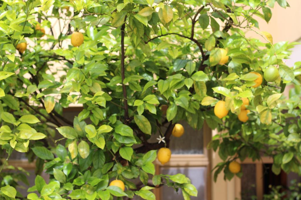 Fiori E Limoni Panzió Quartucciu Kültér fotó