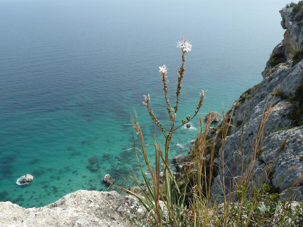 Fiori E Limoni Panzió Quartucciu Kültér fotó